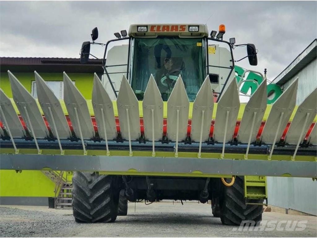 CLAAS Жатка Claas Sunspeed 12-70 Original (2019) Combine harvester heads