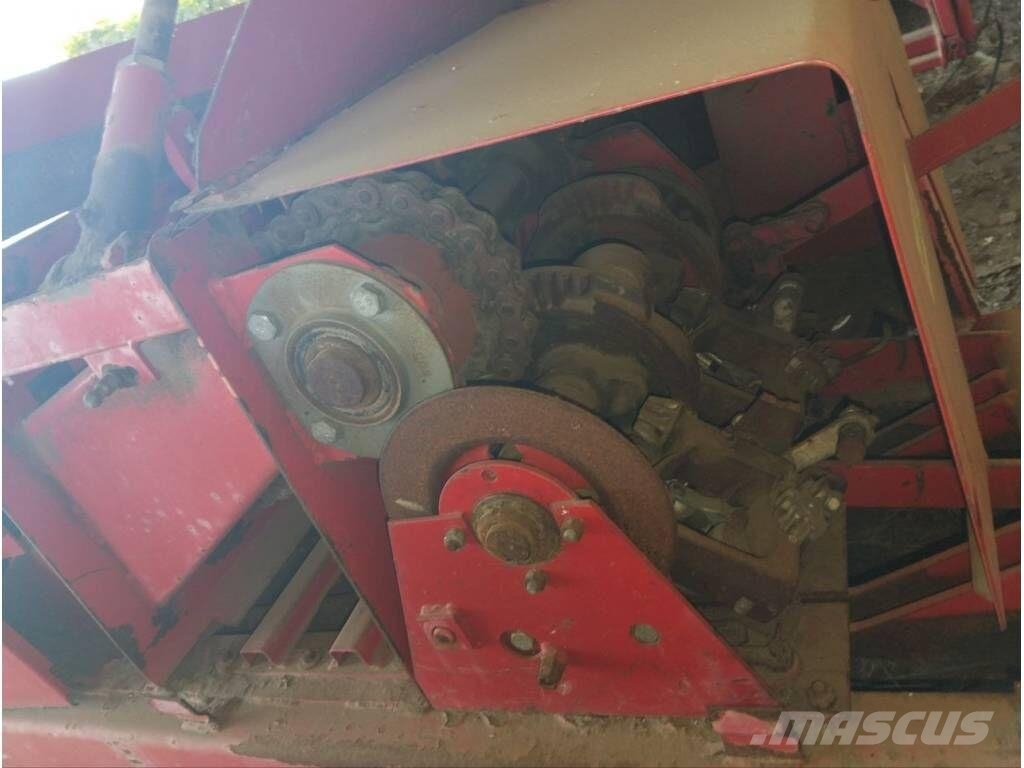 Famarol Z511 محزمات مربعة