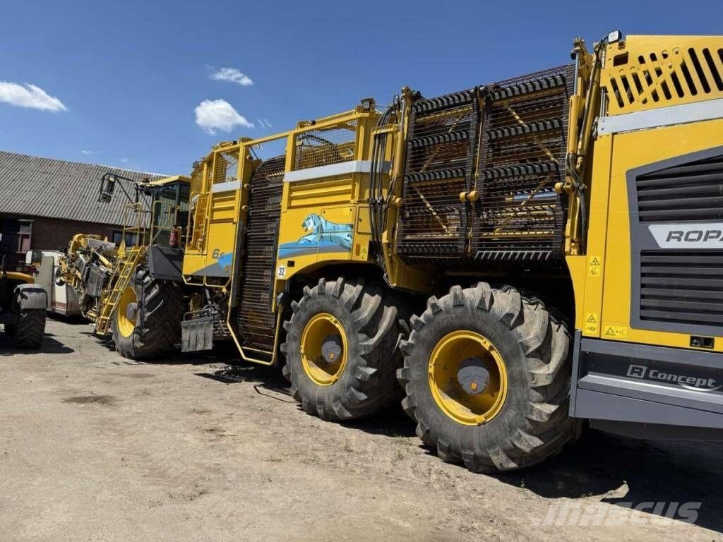 Ropa Tiger 6s Rübenvollernter