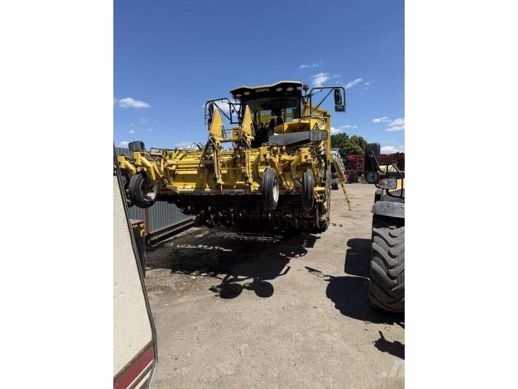 Ropa Tiger 6s Rübenvollernter