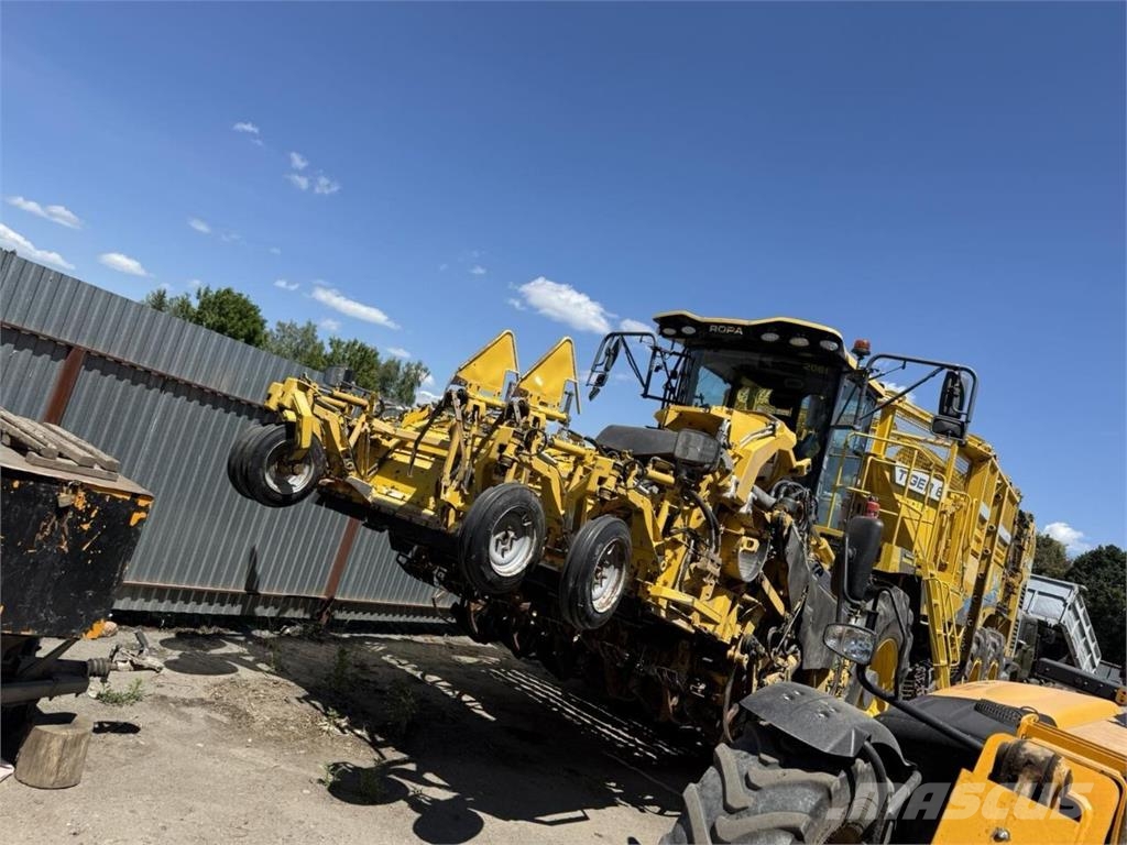 Ropa Tiger 6s (2021) Kombajni za cveklu