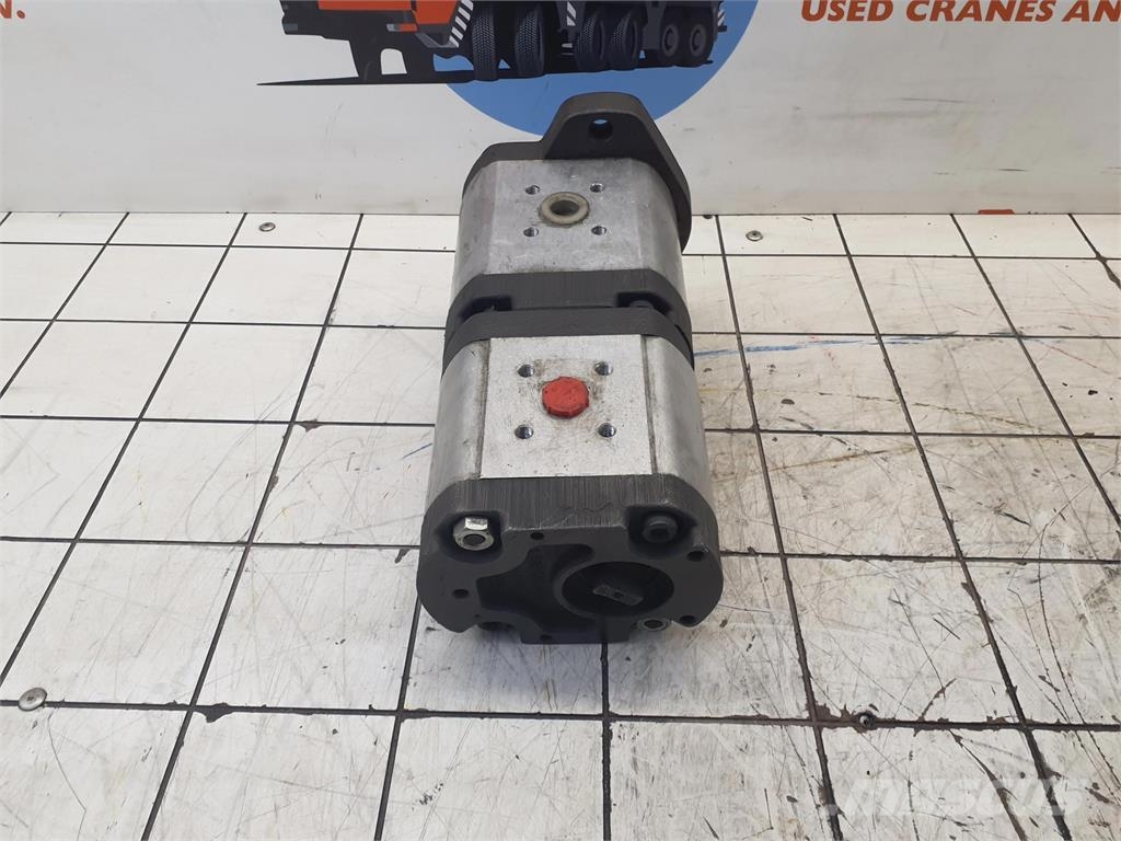 Demag AC 205 dual gear pump Piezas y equipos para grúas