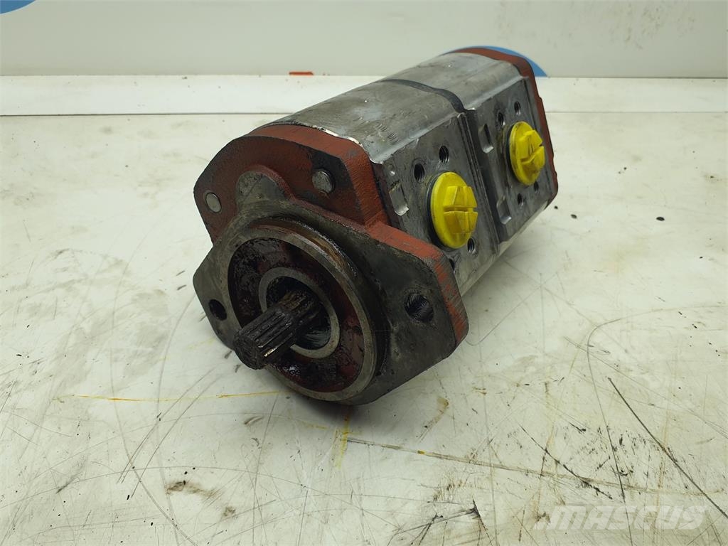 Krupp KMK 3050 dual gear pump Части и оборудване за кранове
