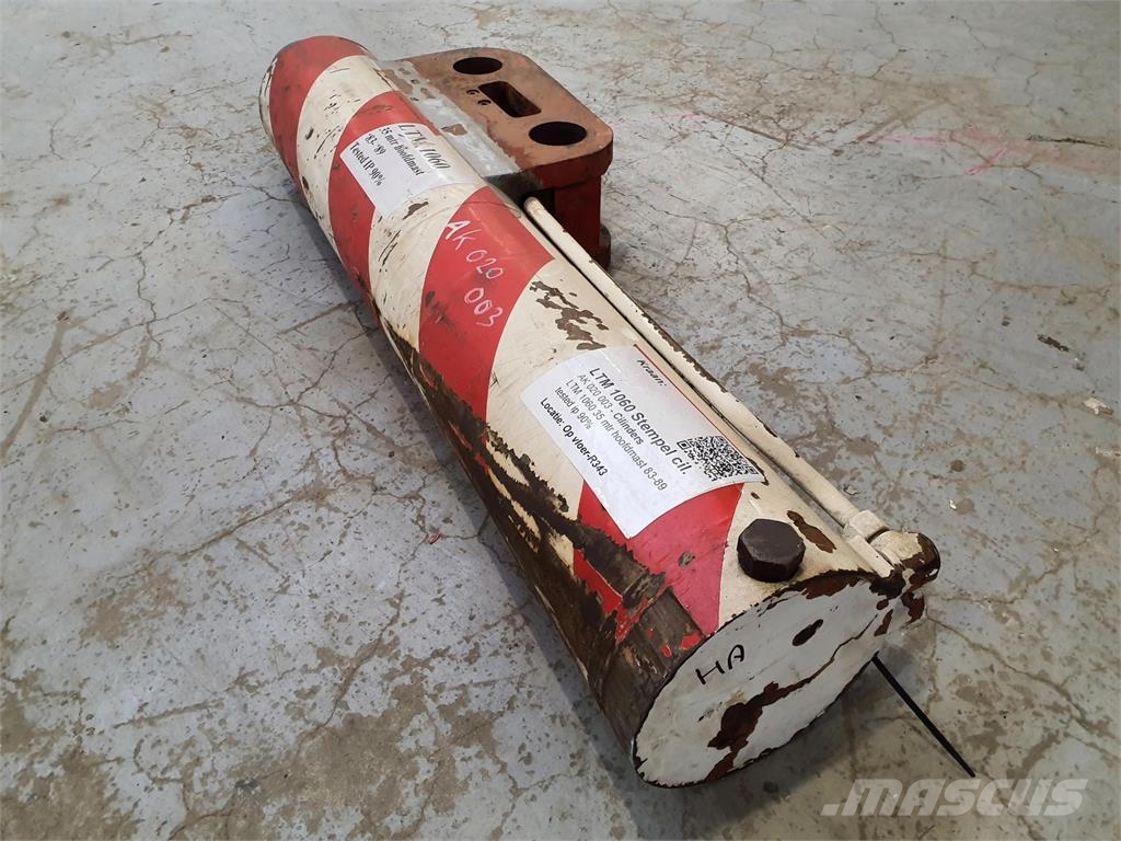 Liebherr LTM 1060 outrigger cylinder Части и оборудване за кранове
