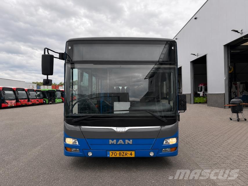 MAN LIONS CITY LLE (14.8 M | 2017 | EURO 6) Autobuses interurbano