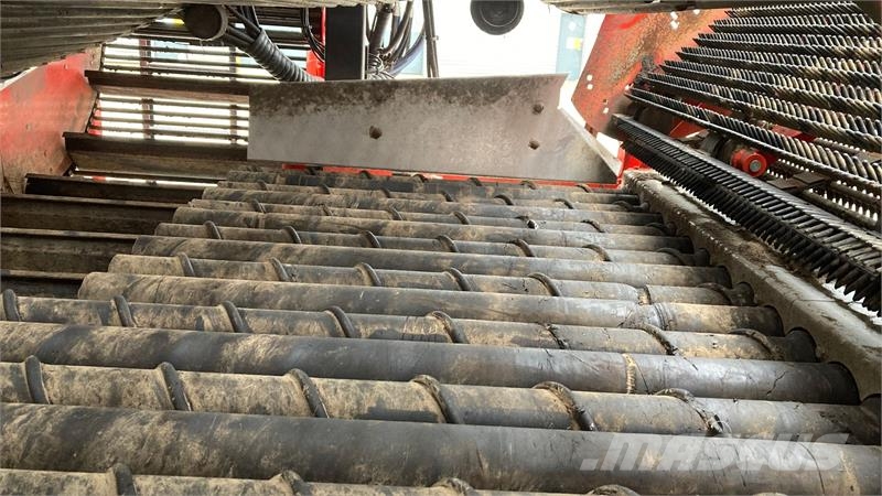 Dewulf RQA3060 Demomaskine Scava raccogli patate