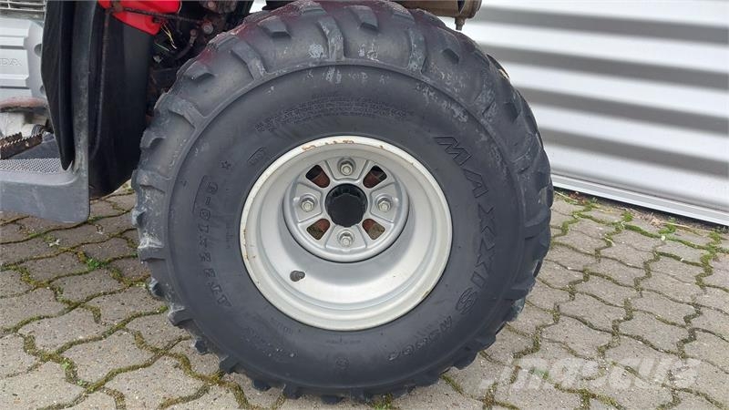 Honda TRX 250 TM Всюдиходи